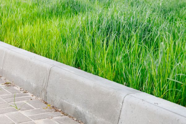 Cost of Concrete Curb Repair in Vacaville