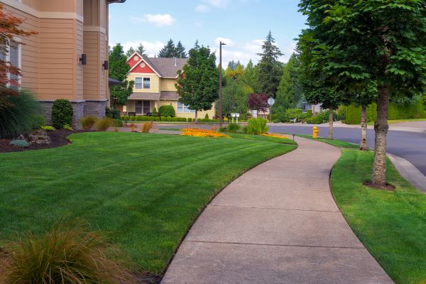 Sidewalk Patching in Vacaville