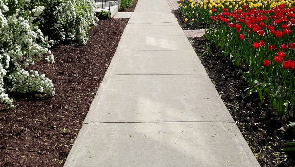 Concrete Pathway Repair in Vacaville